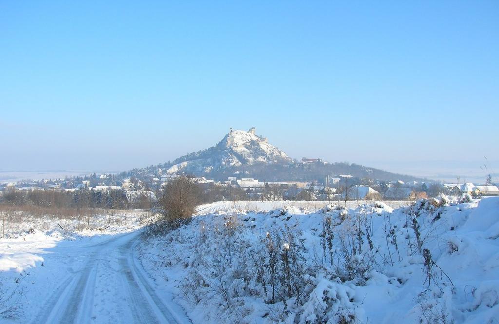 Weinbauernhof Vier Jahreszeiten Staatz Buitenkant foto